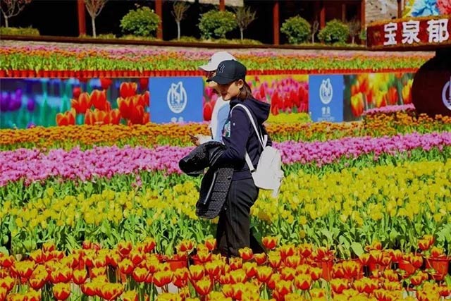 沙金990铝业铝板厂家组织员工宝泉游玩