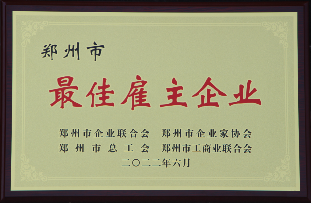 沙金990铝业